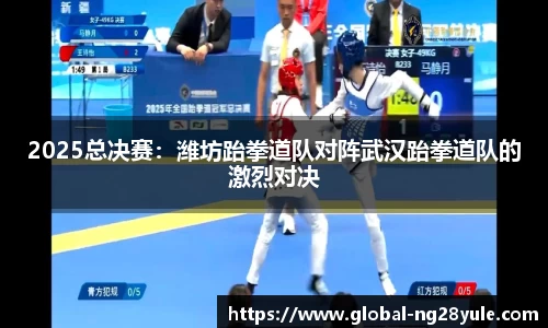 2025总决赛：潍坊跆拳道队对阵武汉跆拳道队的激烈对决